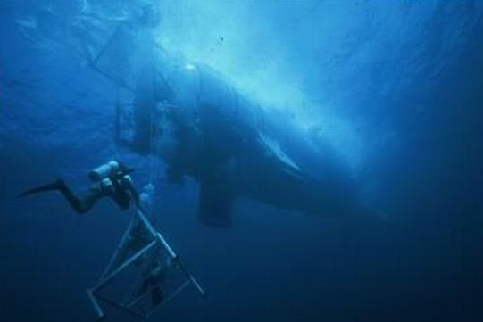 Diver check camera package with Trieste in background 021.JPG